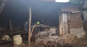 Temblores en Guatemala EN VIVO: Insivumeh contabiliza 907 sismos hasta este 14 de julio, de ellos 35 sensibles