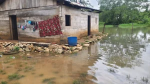 Lluvias saturan los suelos de Lívingston, El Estor y Los Amates