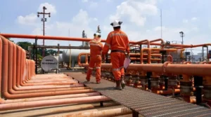 MEM corre contra el tiempo para cierre de pozos en campos operados por Perenco y hay cinco empresas interesadas