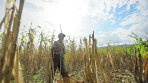 Déficit de lluvia: julio deja hasta 28 días secos en algunas regiones del país