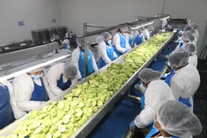Guacamole y chocolate: cómo exportar productos con valor agregado a nuevos países